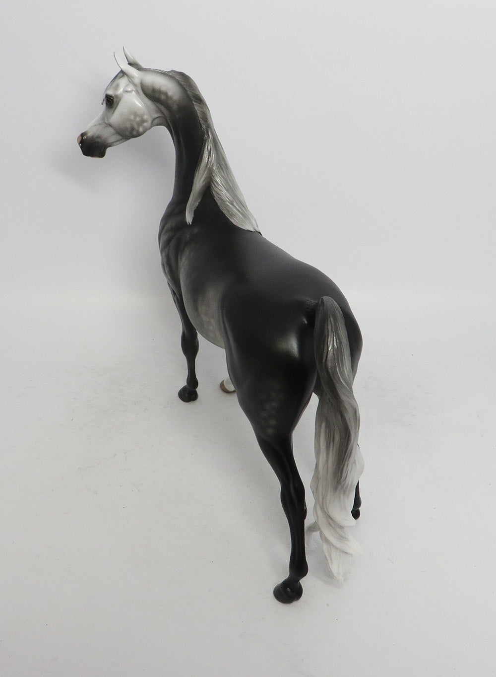 SECRET STAIRCASE-OOAK DARK DAPPLE GREY ARABIAN MODEL SHERYL LEISURE 11/2/18