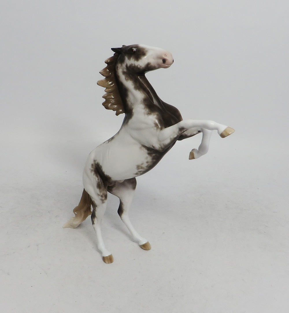 LET ME CLARIFY-OOAK LIVER CHESTNUT SABINO PEBBLES REARING CHIP 11/2/18