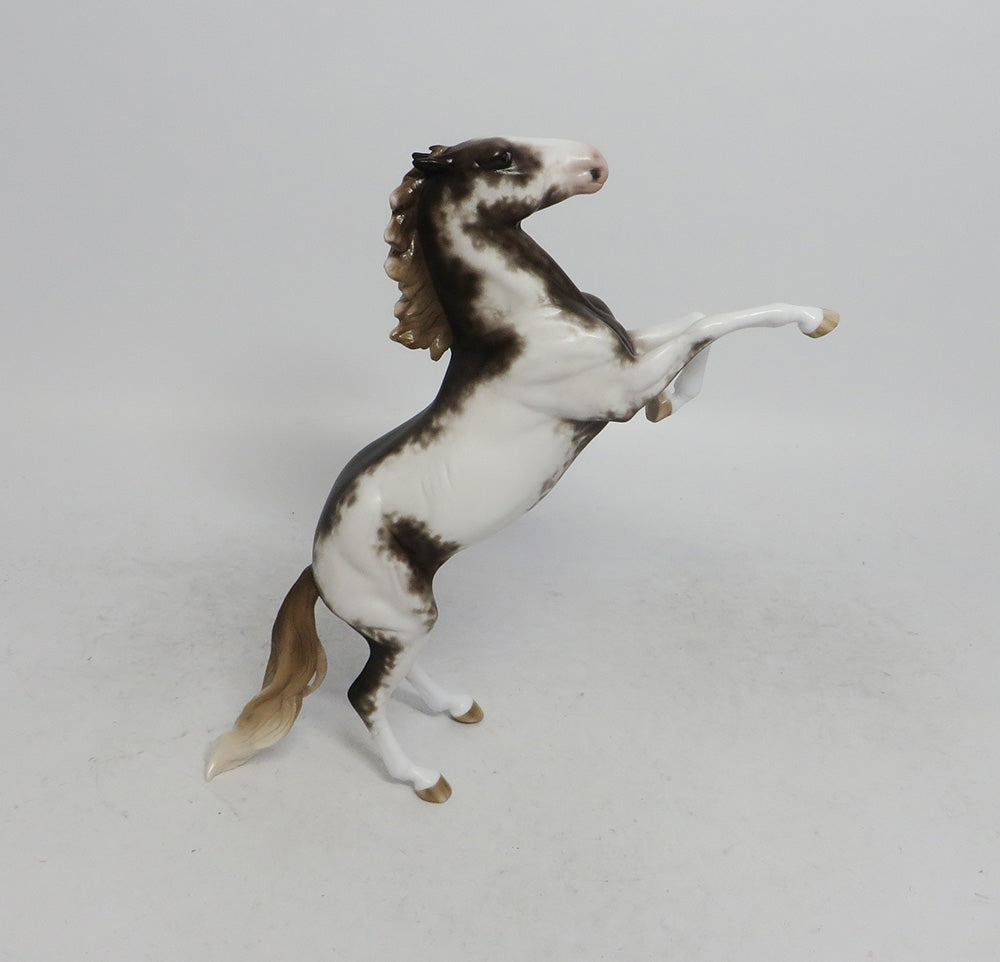 LET ME CLARIFY-OOAK LIVER CHESTNUT SABINO PEBBLES REARING CHIP 11/2/18