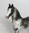 OLLIE-OOAK BLACK RABICANO MORGAN MODEL HORSE 11/2/18