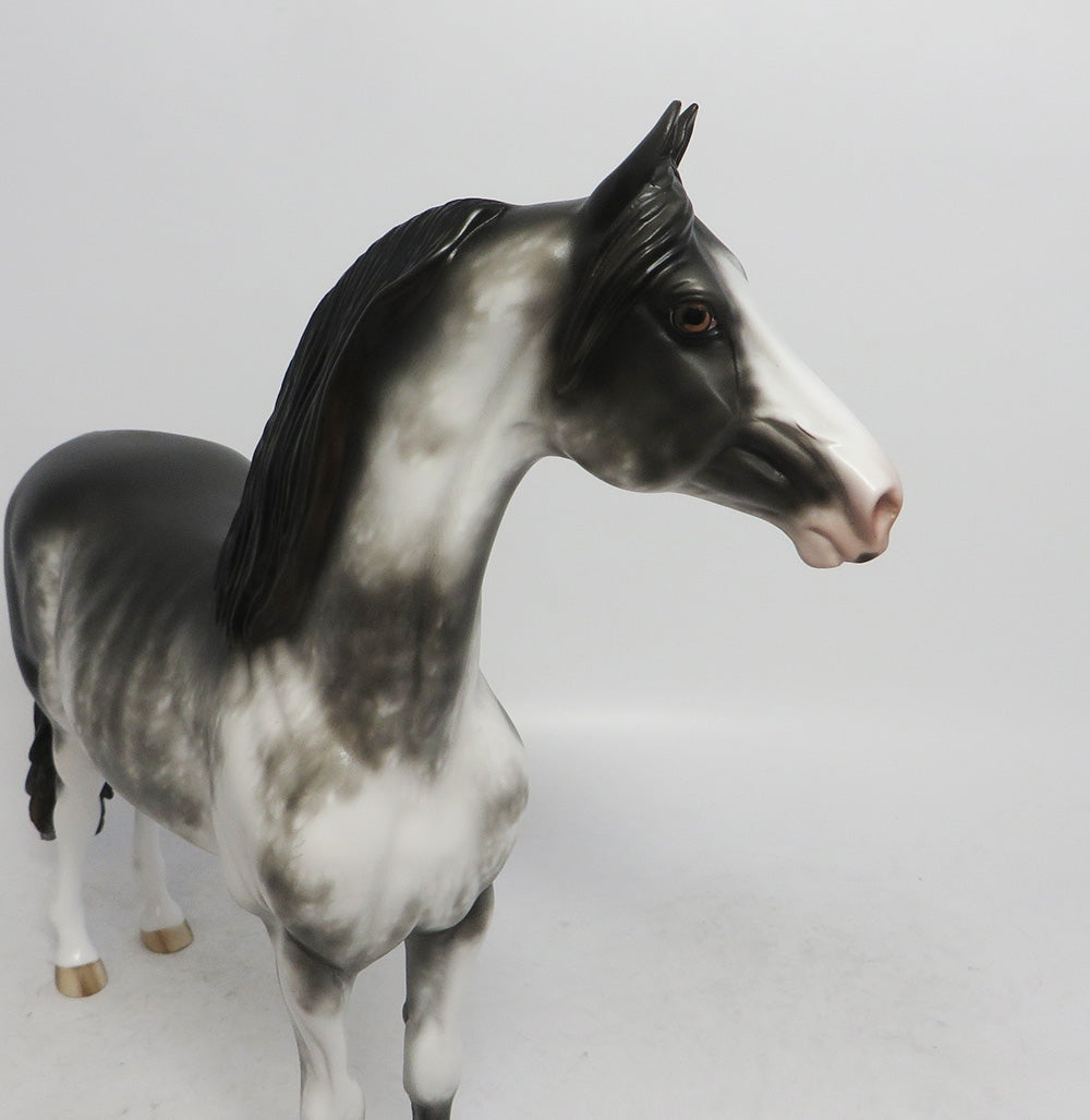 OLLIE-OOAK BLACK RABICANO MORGAN MODEL HORSE 11/2/18