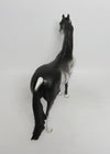 OLLIE-OOAK BLACK RABICANO MORGAN MODEL HORSE 11/2/18