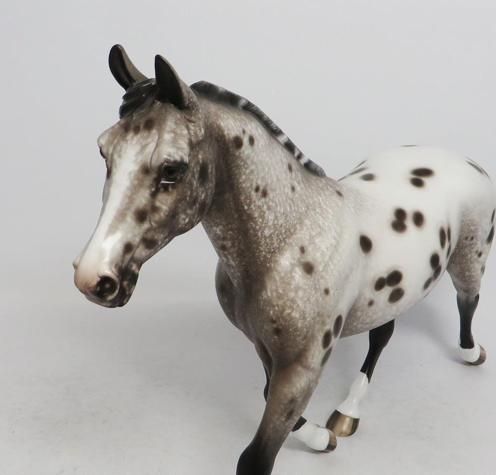 MARILYN-OOAK BAY APPALOOSA MODEL HORSE BY SHERYL LEISURE 11/2/18
