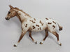 APPALOOSA