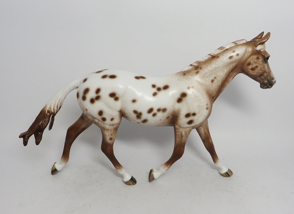 ALMA- OOAK CHESTNUT PALOUSE APPA;OOSA BY SHERYL LEISURE 11/9/18