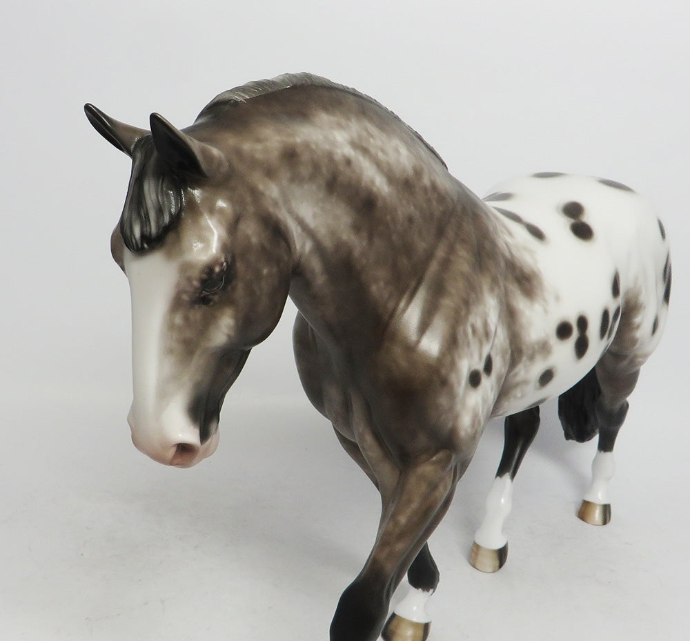 KELSEY-OOAK BAY APPALOOSA IRISH DRAFTER BY SHERYL LEISURE 11/2/18