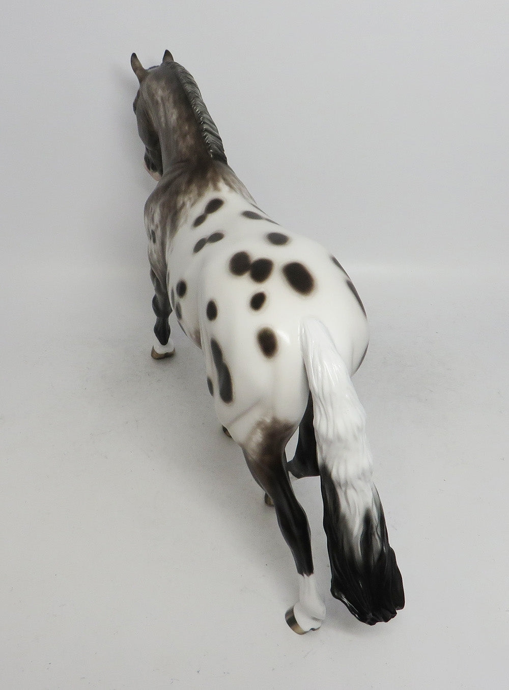 KELSEY-OOAK BAY APPALOOSA IRISH DRAFTER BY SHERYL LEISURE 11/2/18