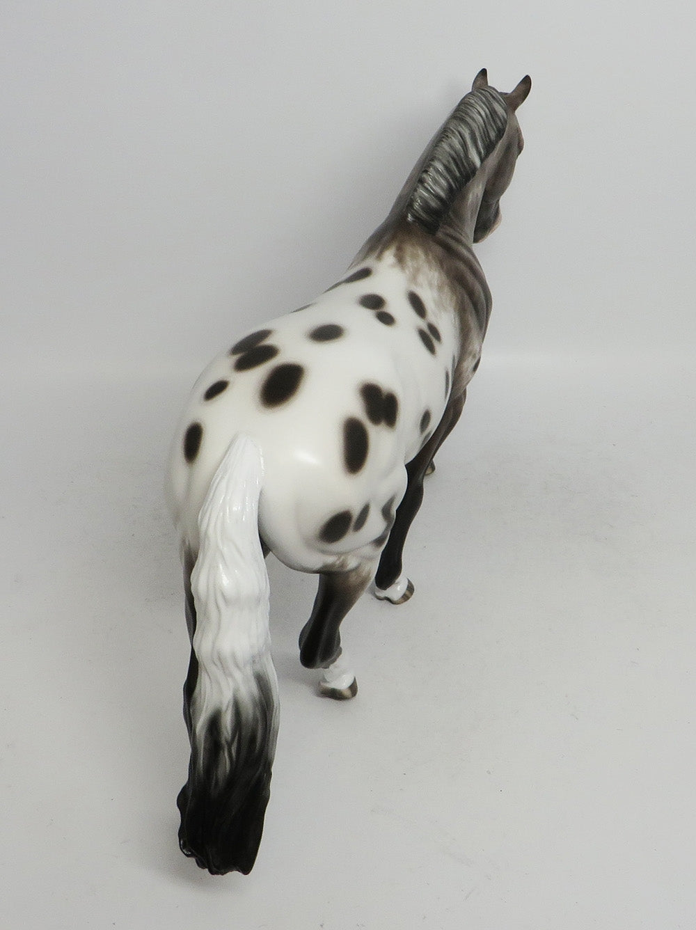 KELSEY-OOAK BAY APPALOOSA IRISH DRAFTER BY SHERYL LEISURE 11/2/18