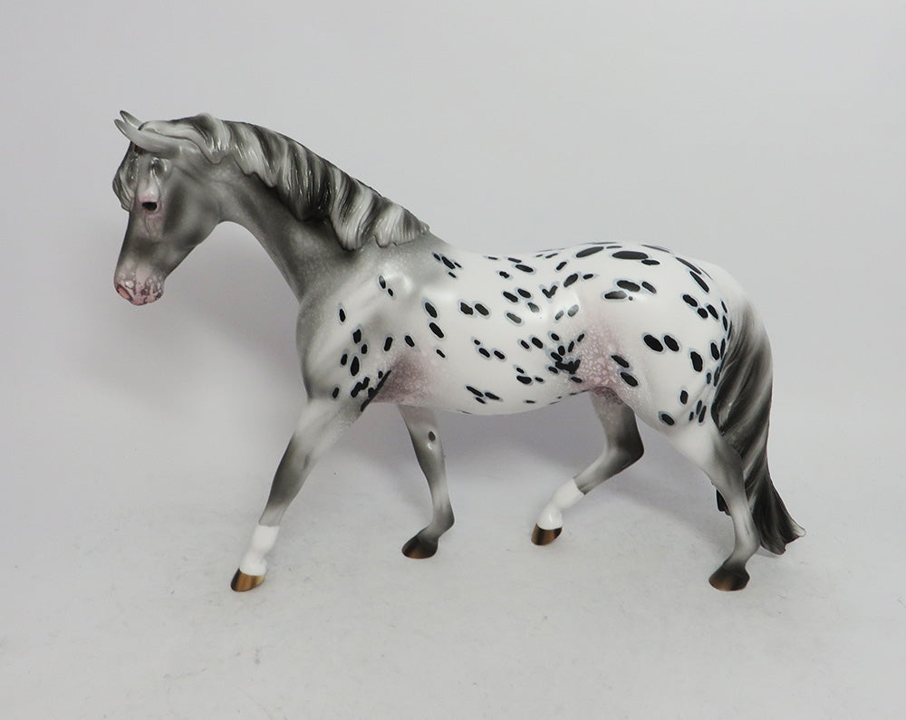 appaloosa