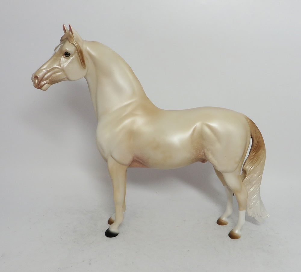 NOVEMBER RAIN-OOAK PERLINO MORGAN MODEL HORSE 11/8/18