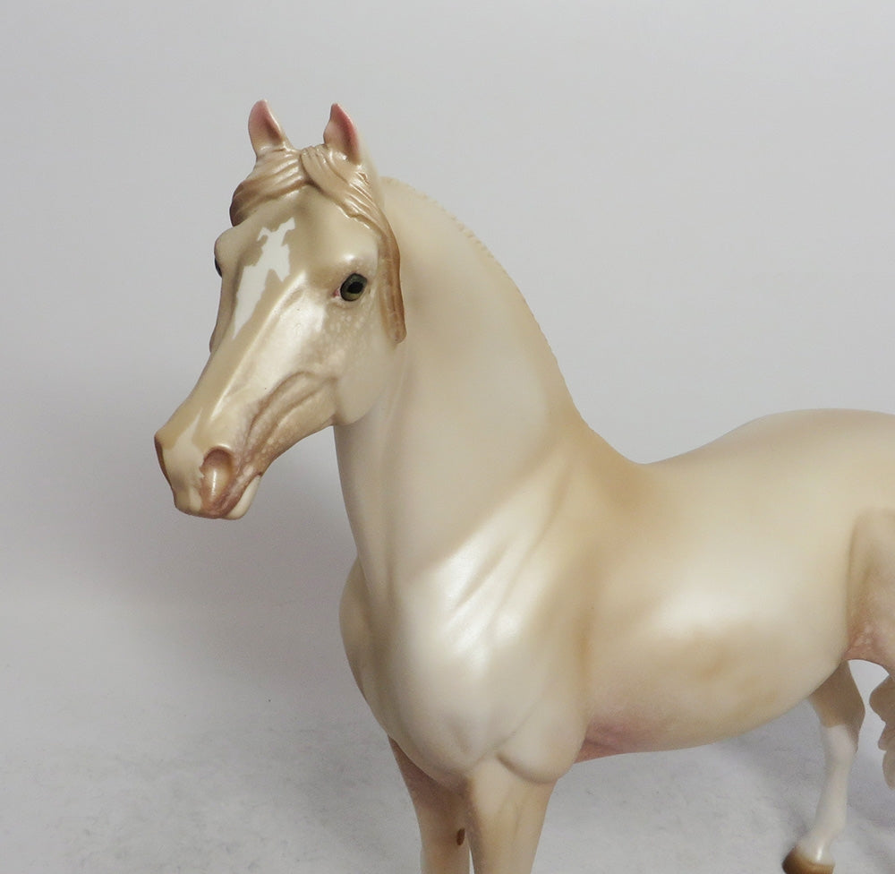 NOVEMBER RAIN-OOAK PERLINO MORGAN HORSE 11/8/18