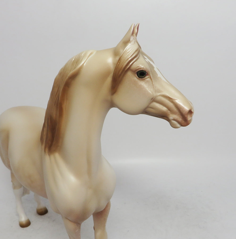 NOVEMBER RAIN-OOAK PERLINO MORGAN MODEL HORSE 11/8/18