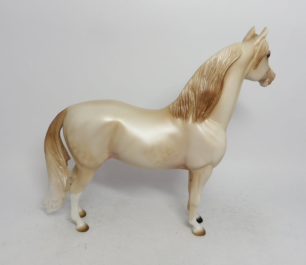 NOVEMBER RAIN-OOAK PERLINO MORGAN HORSE 11/8/18