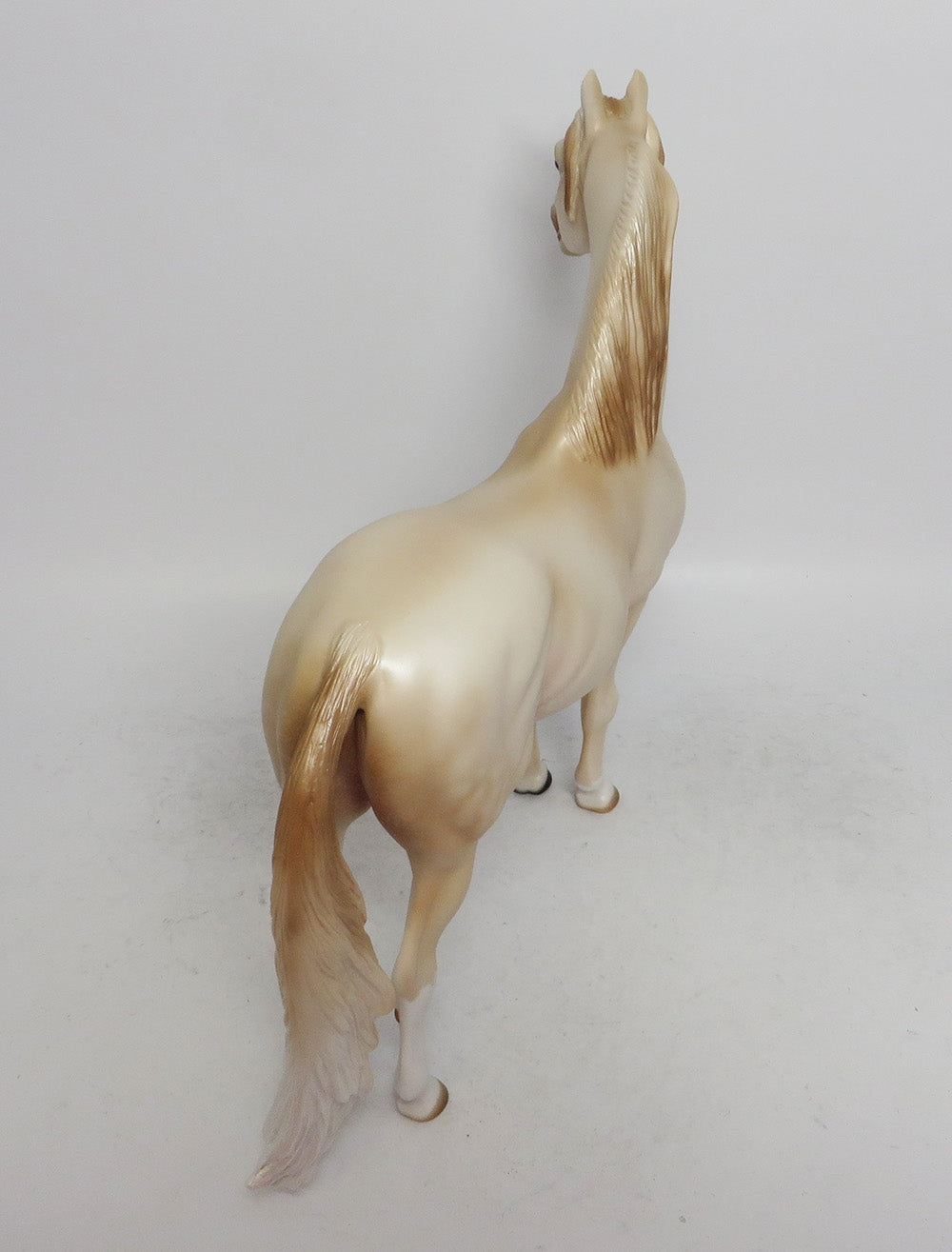 NOVEMBER RAIN-OOAK PERLINO MORGAN HORSE 11/8/18