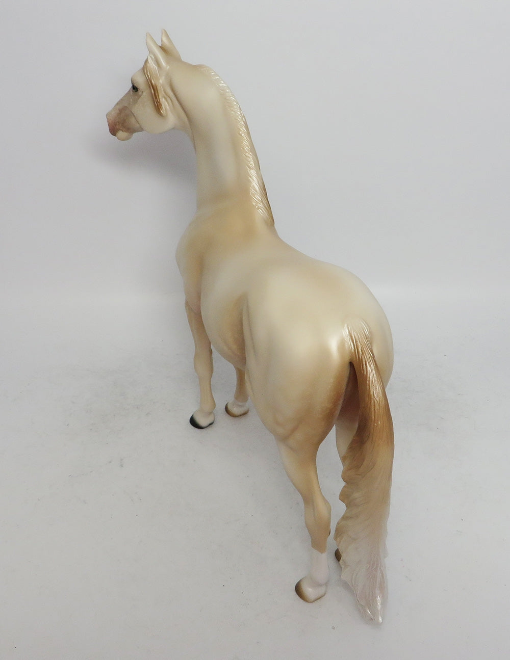 NOVEMBER RAIN-OOAK PERLINO MORGAN MODEL HORSE 11/8/18