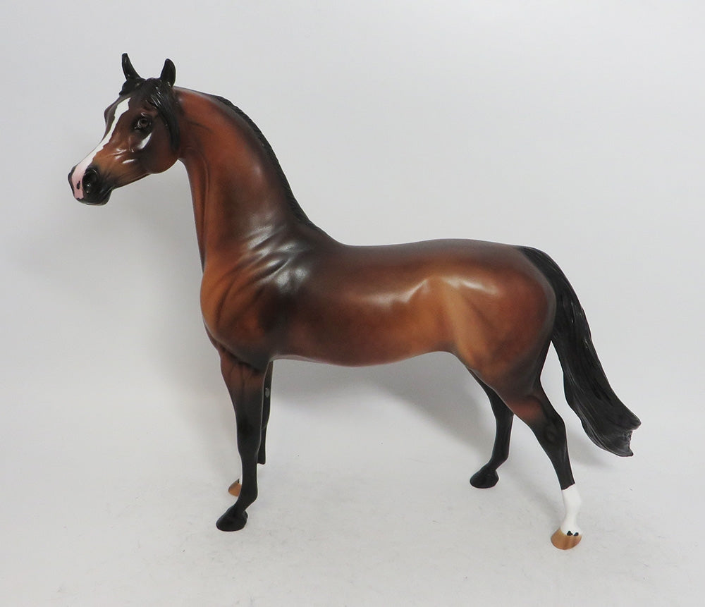 WISENHEIMER- LE-3 DAPPLE BAY ARABIAN 11/8/18