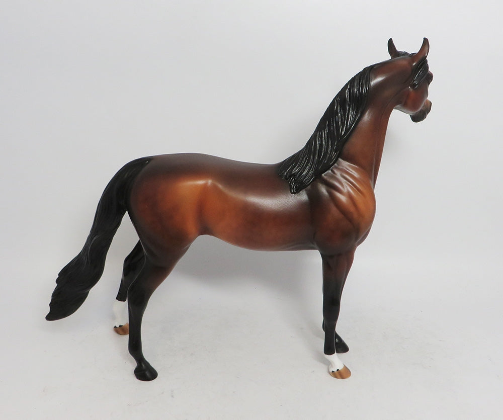 WISENHEIMER- LE-3 DAPPLE BAY ARABIAN 11/8/18