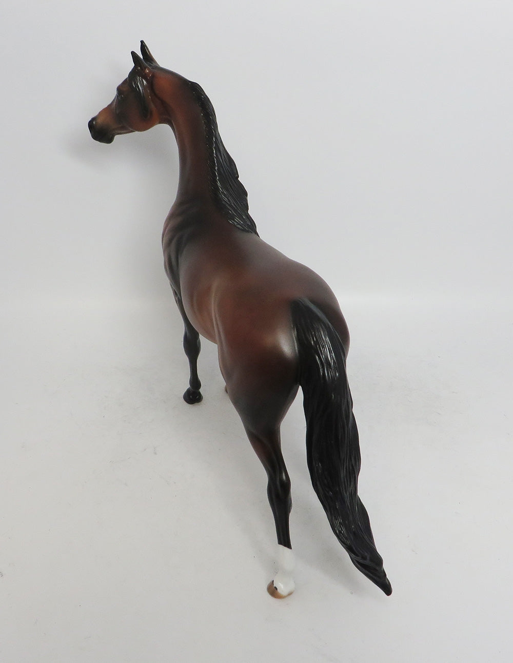 WISENHEIMER- LE-3 DAPPLE BAY ARABIAN 11/8/18