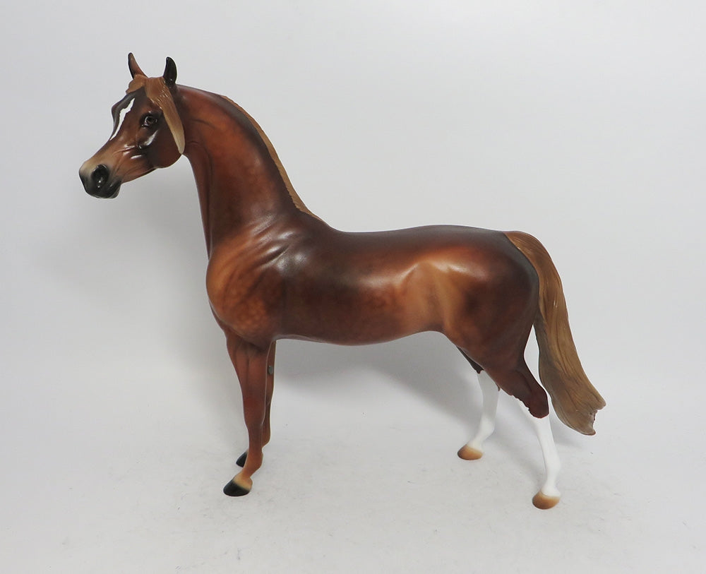 RONNUS- OOAK DAPPLED SORREL WITH FLAXEN MANE AN TAIL  ARABIAN 11/8/18