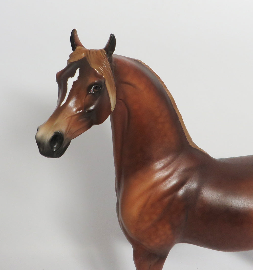 RONNUS- OOAK DAPPLED SORREL WITH FLAXEN MANE AN TAIL  ARABIAN 11/8/18