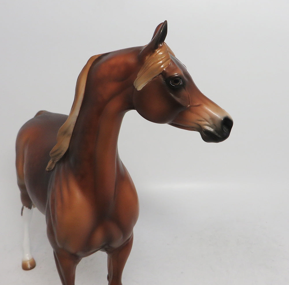 RONNUS- OOAK DAPPLED SORREL WITH FLAXEN MANE AN TAIL  ARABIAN 11/8/18