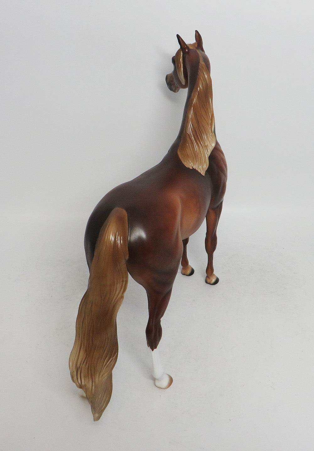 RONNUS- OOAK DAPPLED SORREL WITH FLAXEN MANE AN TAIL  ARABIAN 11/8/18