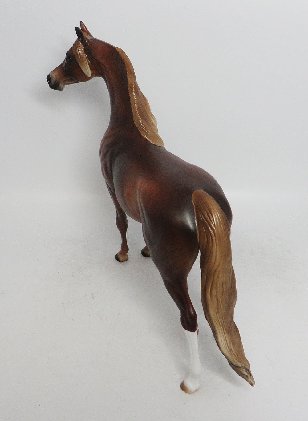 RONNUS- OOAK DAPPLED SORREL WITH FLAXEN MANE AN TAIL  ARABIAN 11/8/18