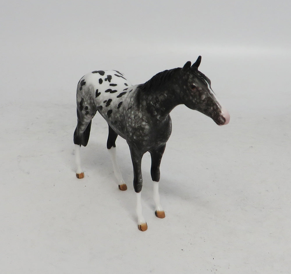BLACK FRIDAY THANKFUL-OOAK  APPALOOSA THOROUGHBRED CHIP BF 2018