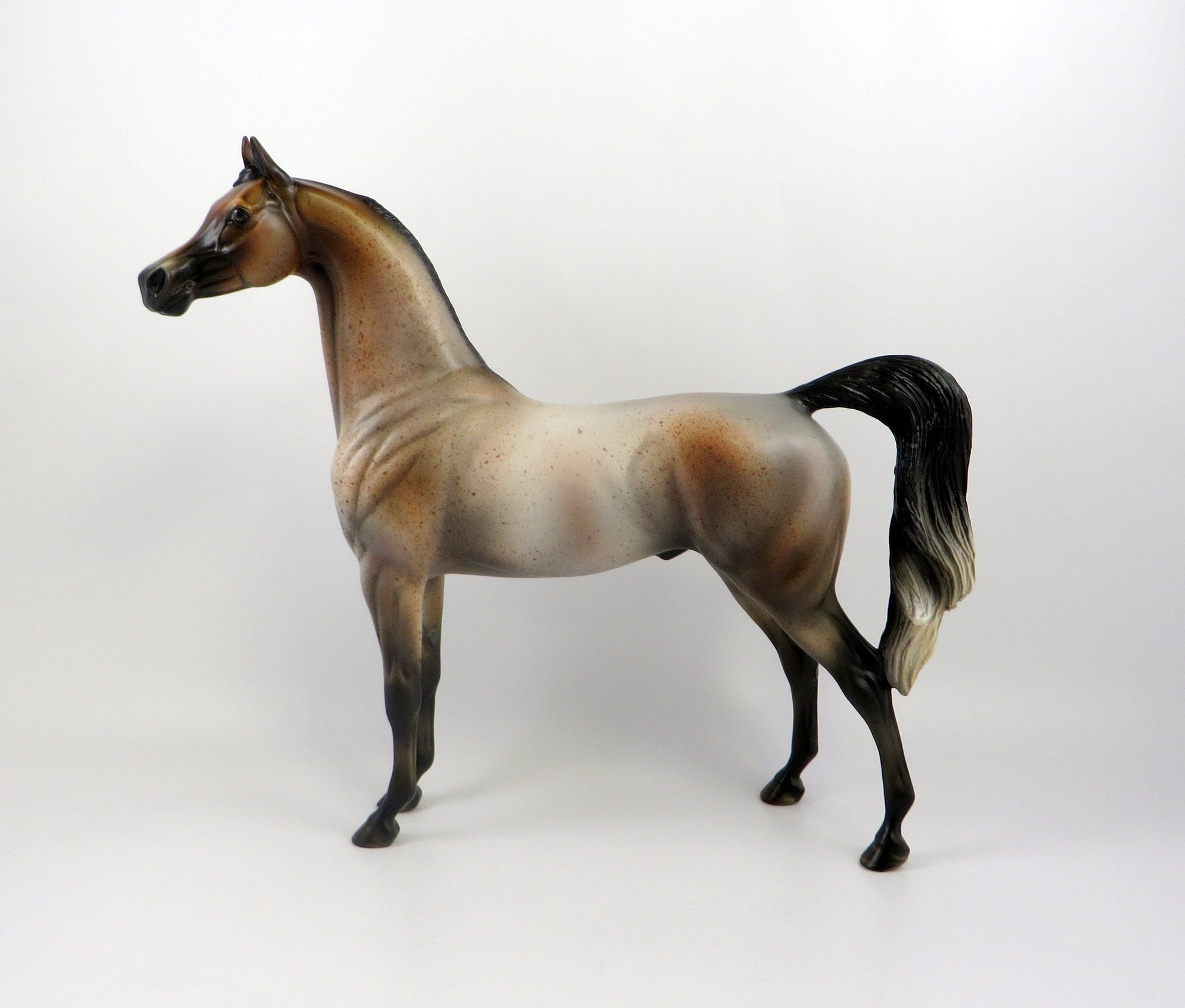 WIDO-OOAK BAY ROAN ARABIAN MODEL HORSE EQ 19