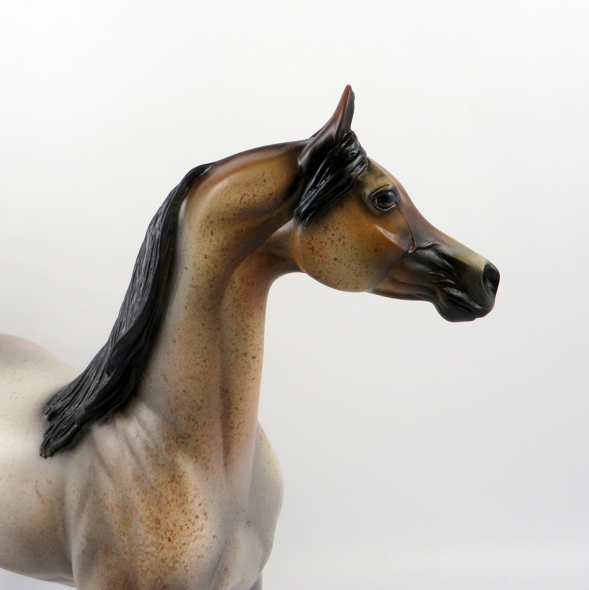WIDO-OOAK BAY ROAN ARABIAN MODEL HORSE EQ 19