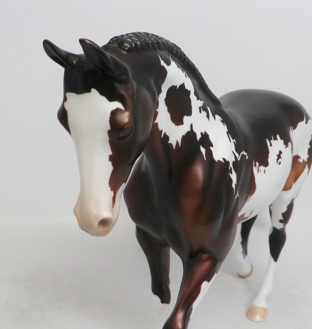 BLITZ- OOAK DARK BAY THOROUGHBRED 11/8/18