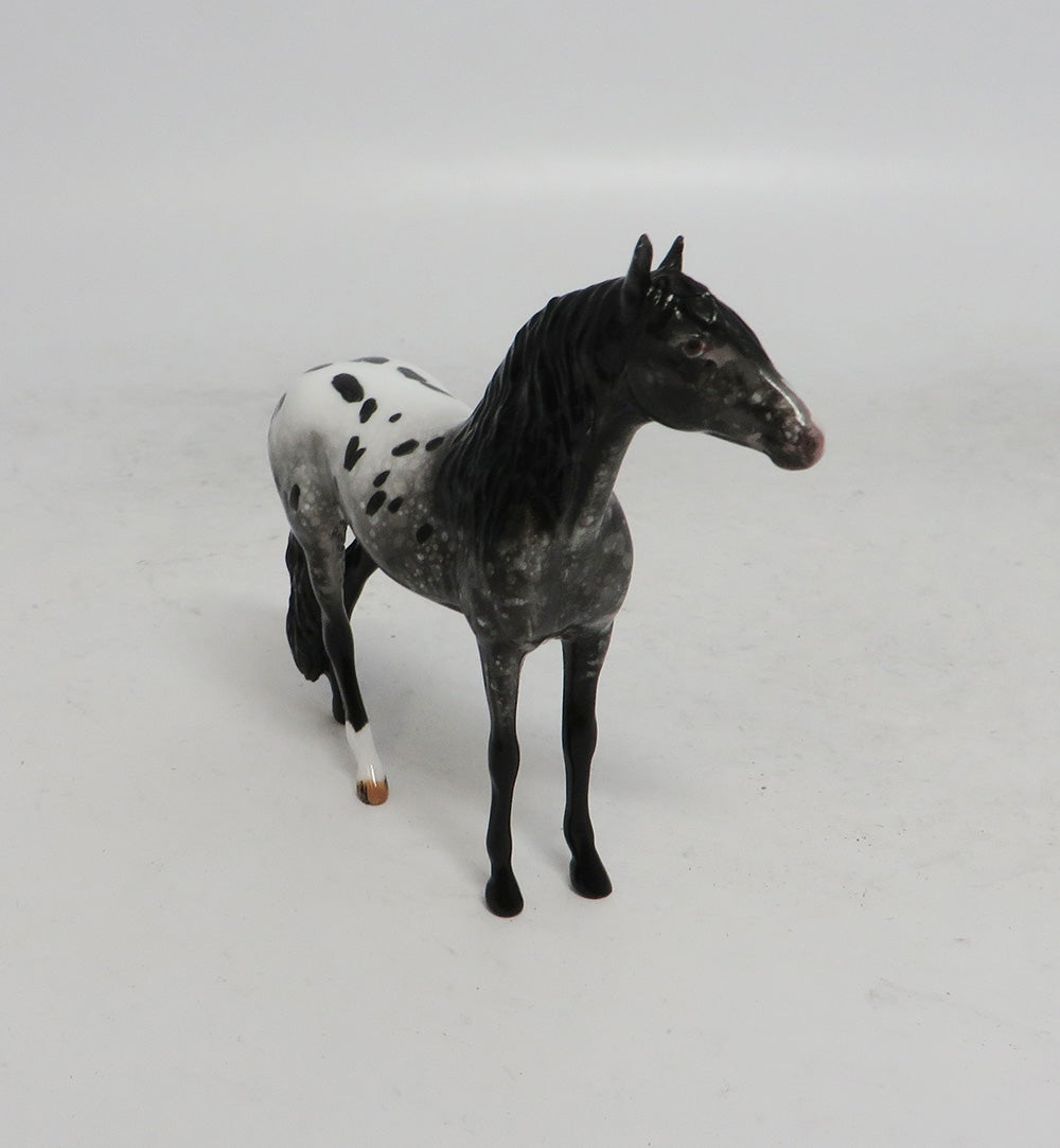 BLACK FRIDAY THANKFUL-LE-2 APPALOOSA ANDALUSIAN CHIP BF 2018
