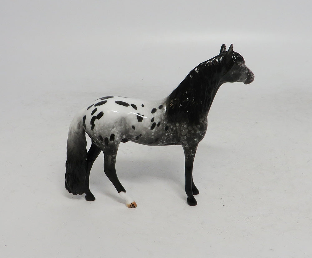 BLACK FRIDAY THANKFUL-LE-2 APPALOOSA ANDALUSIAN CHIP BF 2018