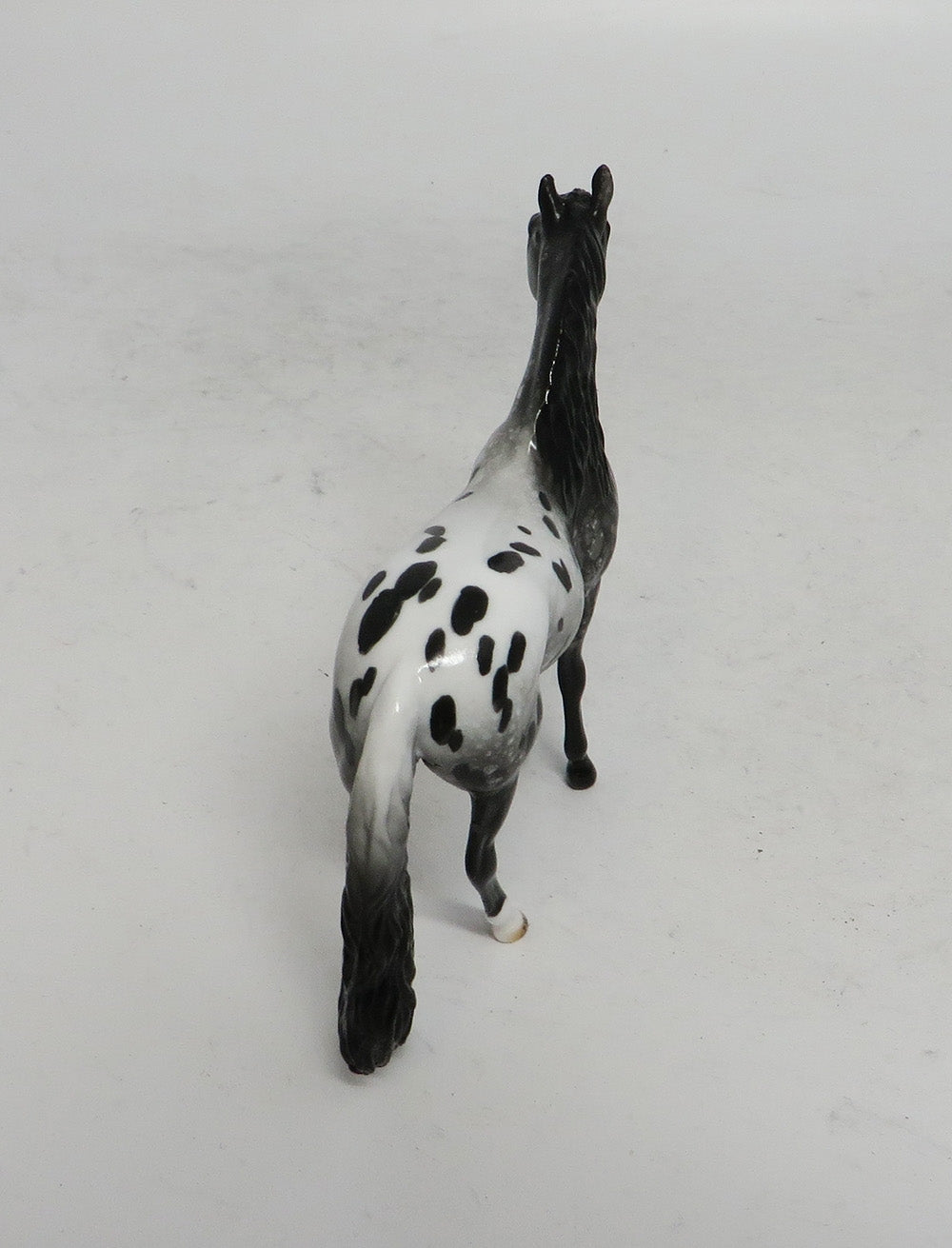 BLACK FRIDAY THANKFUL-LE-2 APPALOOSA ANDALUSIAN CHIP BF 2018