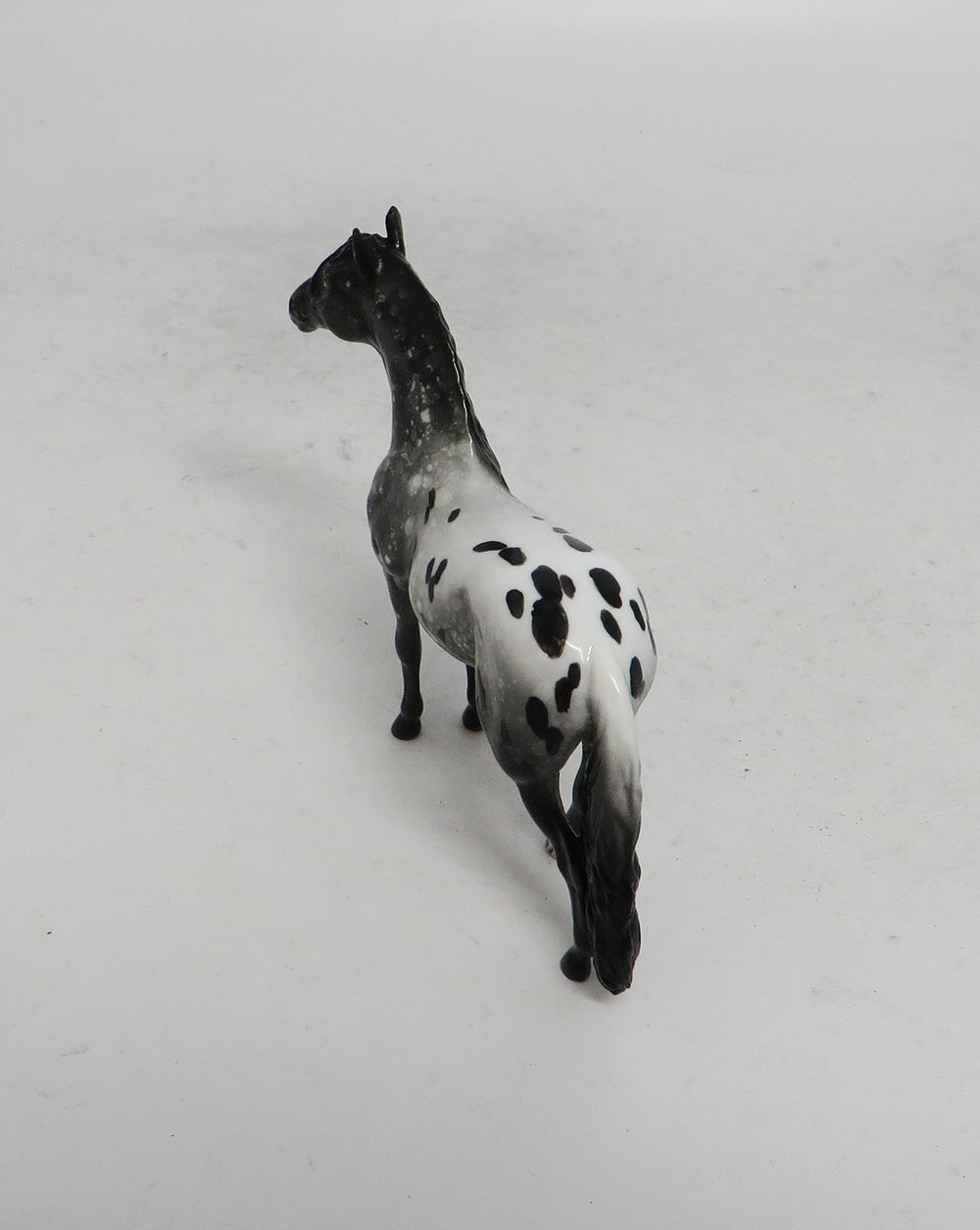 BLACK FRIDAY THANKFUL-LE-2 APPALOOSA ANDALUSIAN CHIP BF 2018
