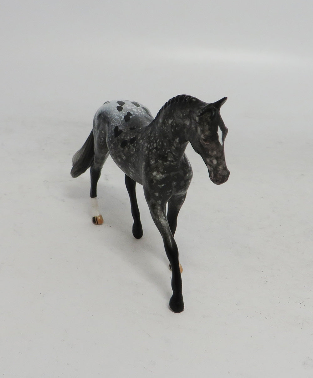 BLACK FRIDAY THANKFUL-OOAK  APPALOOSA WARMBLOOD CHIP BF 2018