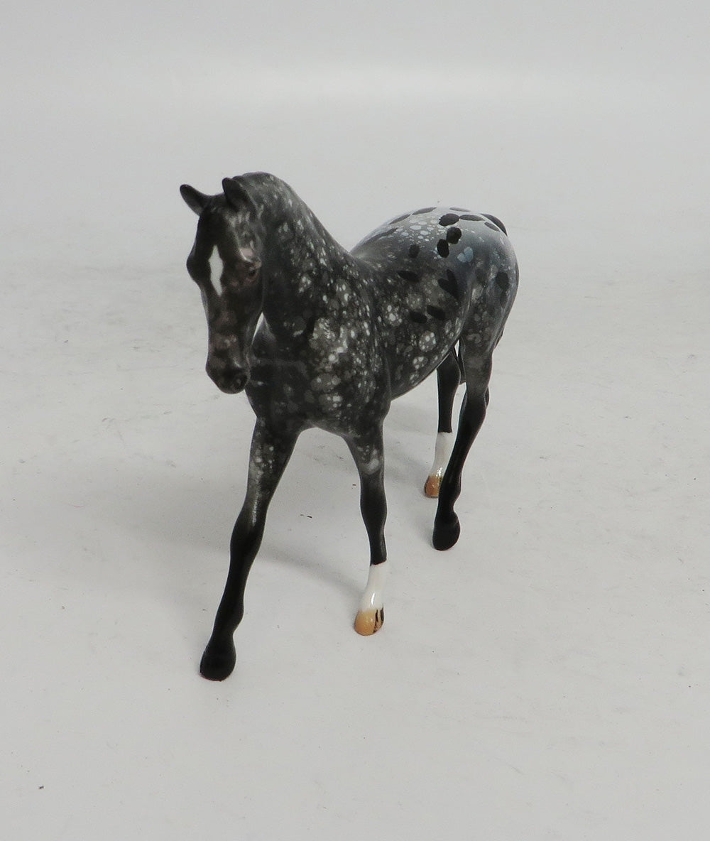 BLACK FRIDAY THANKFUL-OOAK  APPALOOSA WARMBLOOD CHIP BF 2018