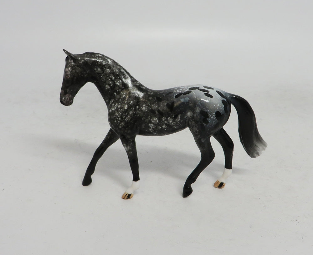 BLACK FRIDAY THANKFUL-OOAK  APPALOOSA WARMBLOOD CHIP BF 2018