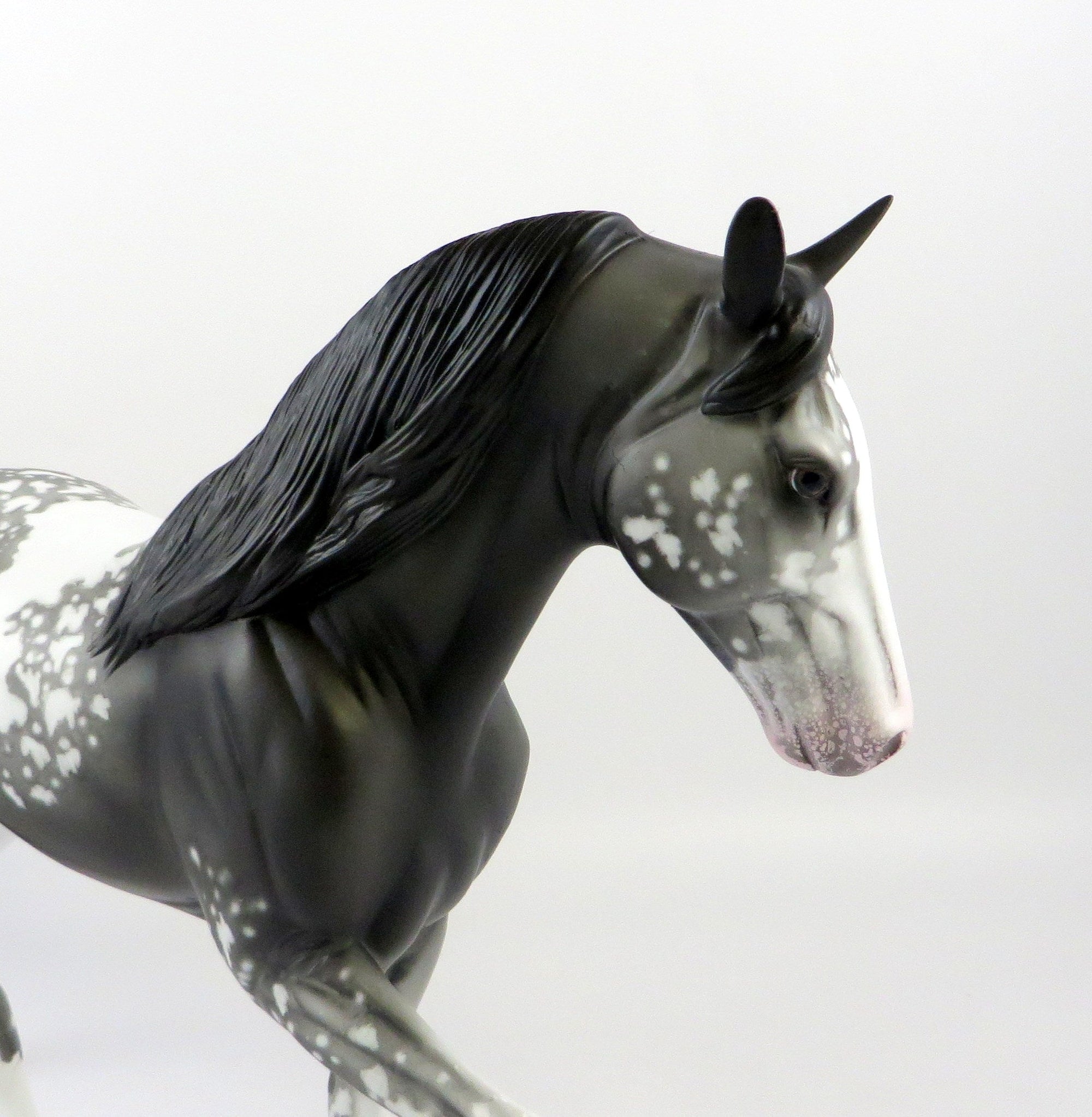 MILET-OOAK BLACK MANCHATO TWH MODEL HORSE EQ 19