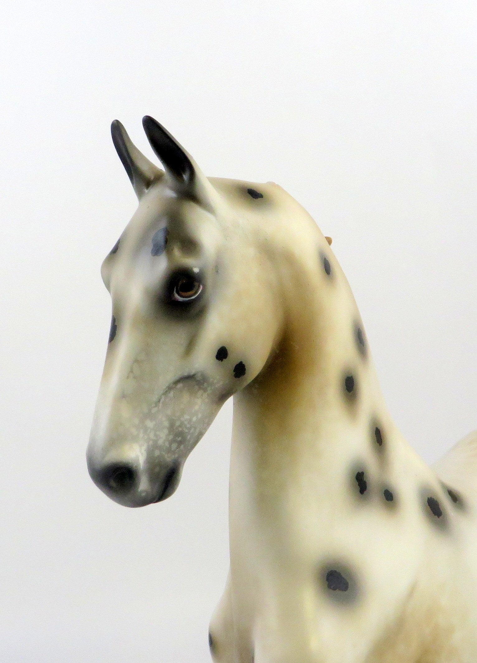 OURE-OOAK CHESTNUT APPALOOSA SADDLEBRED MODEL HORSE EQ 19