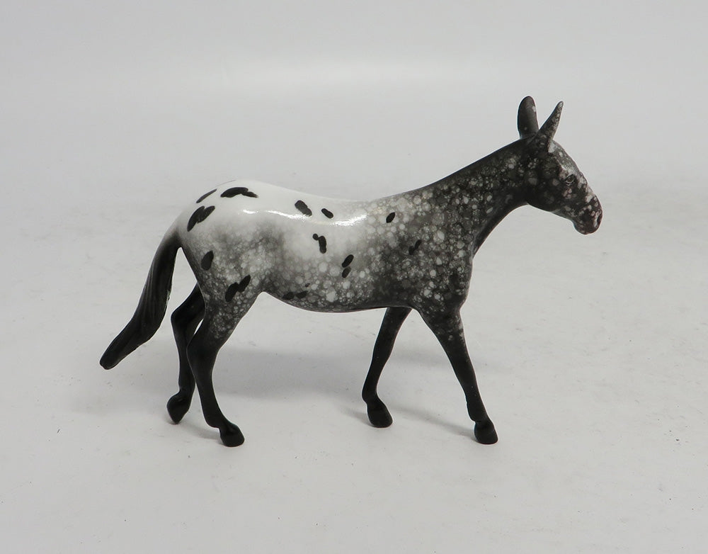 BLACK FRIDAY SPECIAL-LE-3 THANKFUL MULE APPALOOSA CHIP