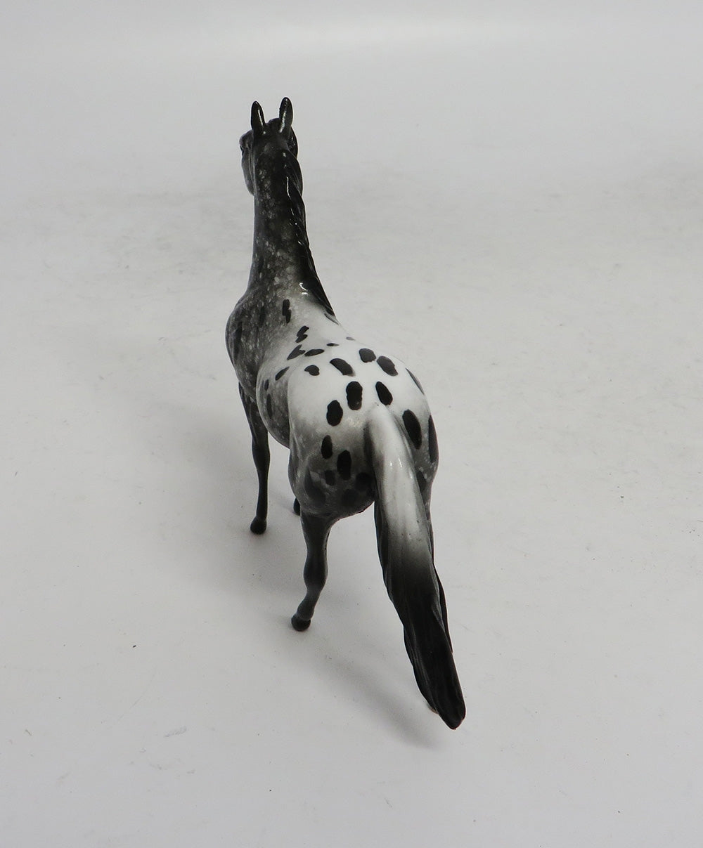 BLACK FRIDAY THANKFUL-LE-2 APPALOOSA MORGAN  CHIP BF 2018