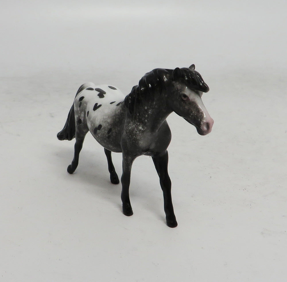BLACK FRIDAY SPECIAL-LE-3 THANKFUL PONY APPALOOSA CHIP