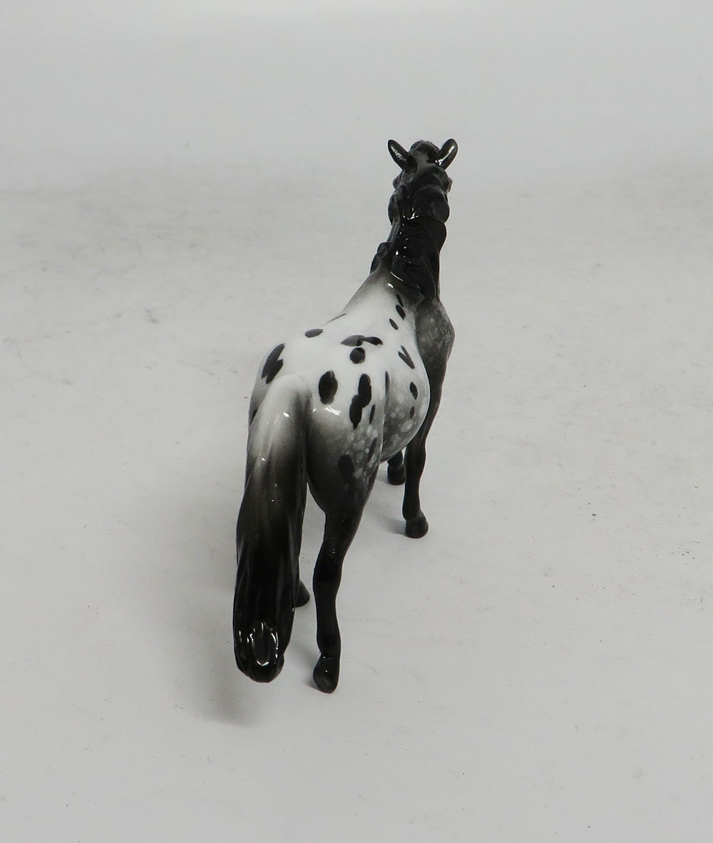BLACK FRIDAY SPECIAL-LE-3 THANKFUL PONY APPALOOSA CHIP