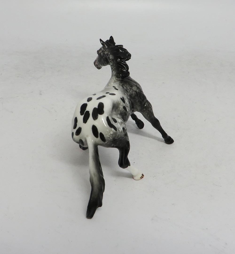 BLACK FRIDAY SPECIAL-LE-3 THANKFUL CUTTER CALF APPALOOSA CHIP