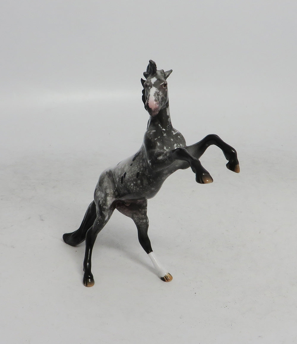BLACK FRIDAY SPECIAL-LE-3 THANKFUL REARING APPALOOSA CHIP