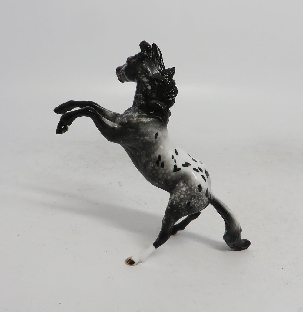 BLACK FRIDAY SPECIAL-LE-3 THANKFUL REARING APPALOOSA CHIP