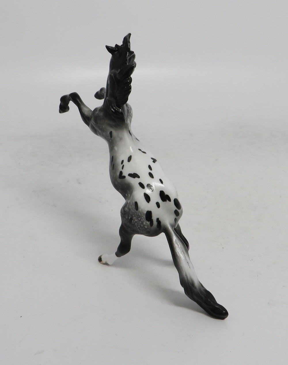 BLACK FRIDAY SPECIAL-LE-3 THANKFUL REARING APPALOOSA CHIP