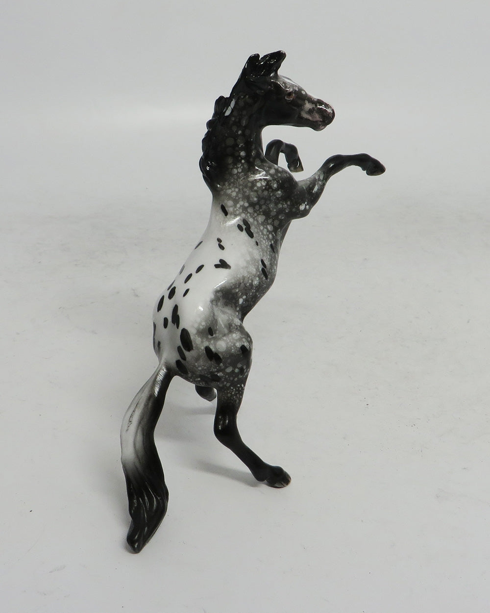 BLACK FRIDAY SPECIAL-LE-3 THANKFUL REARING APPALOOSA CHIP