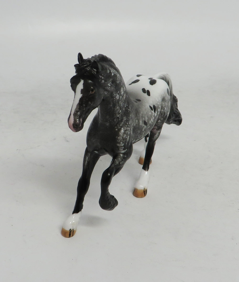 BLACK FRIDAY THANKFUL-OOAK  APPALOOSA FREISAN CHIP BF 2018